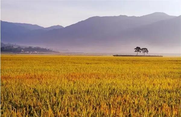 1628836928172388.jpg 1628836928172388.jpg